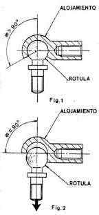 CoRotula1.jpg (10409 bytes)